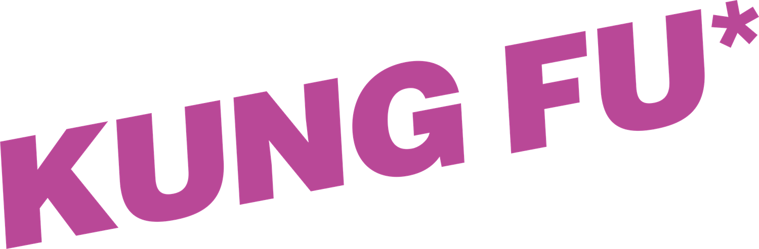 KUNG FU European version logo for NES
